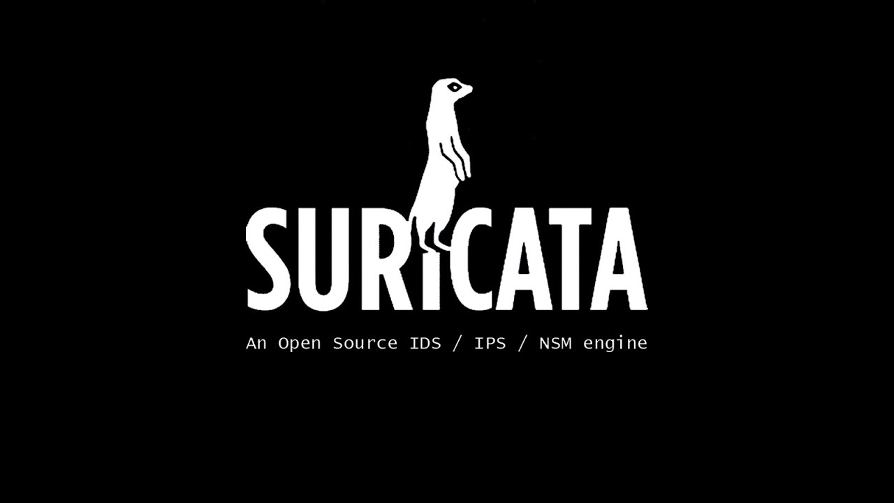 /images/suricata.jpeg